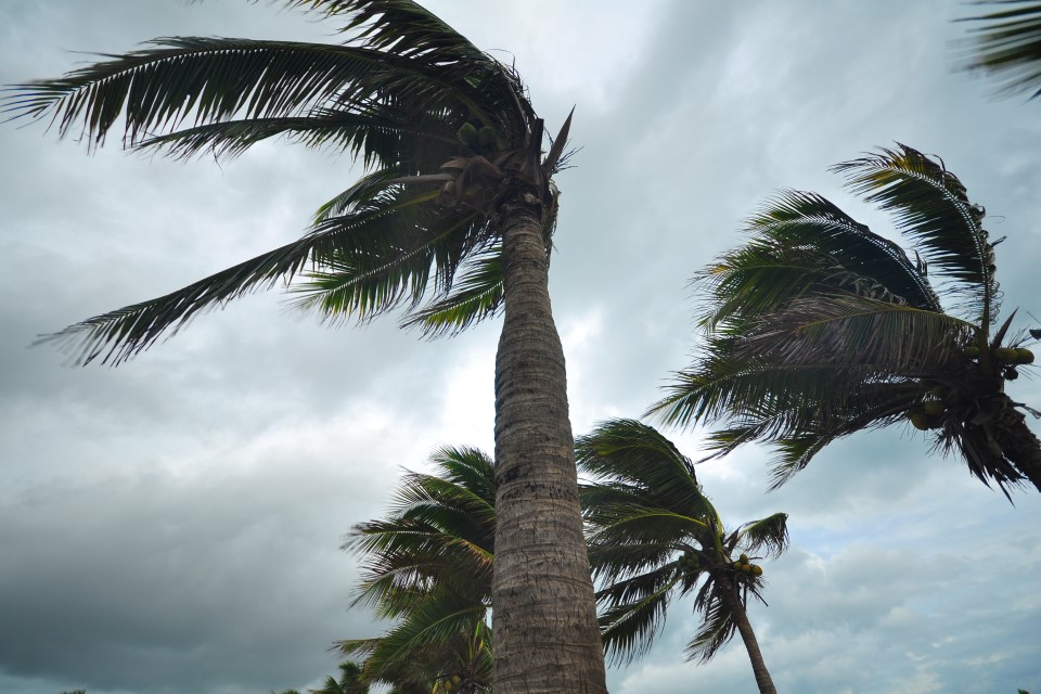 hurricane prep kit